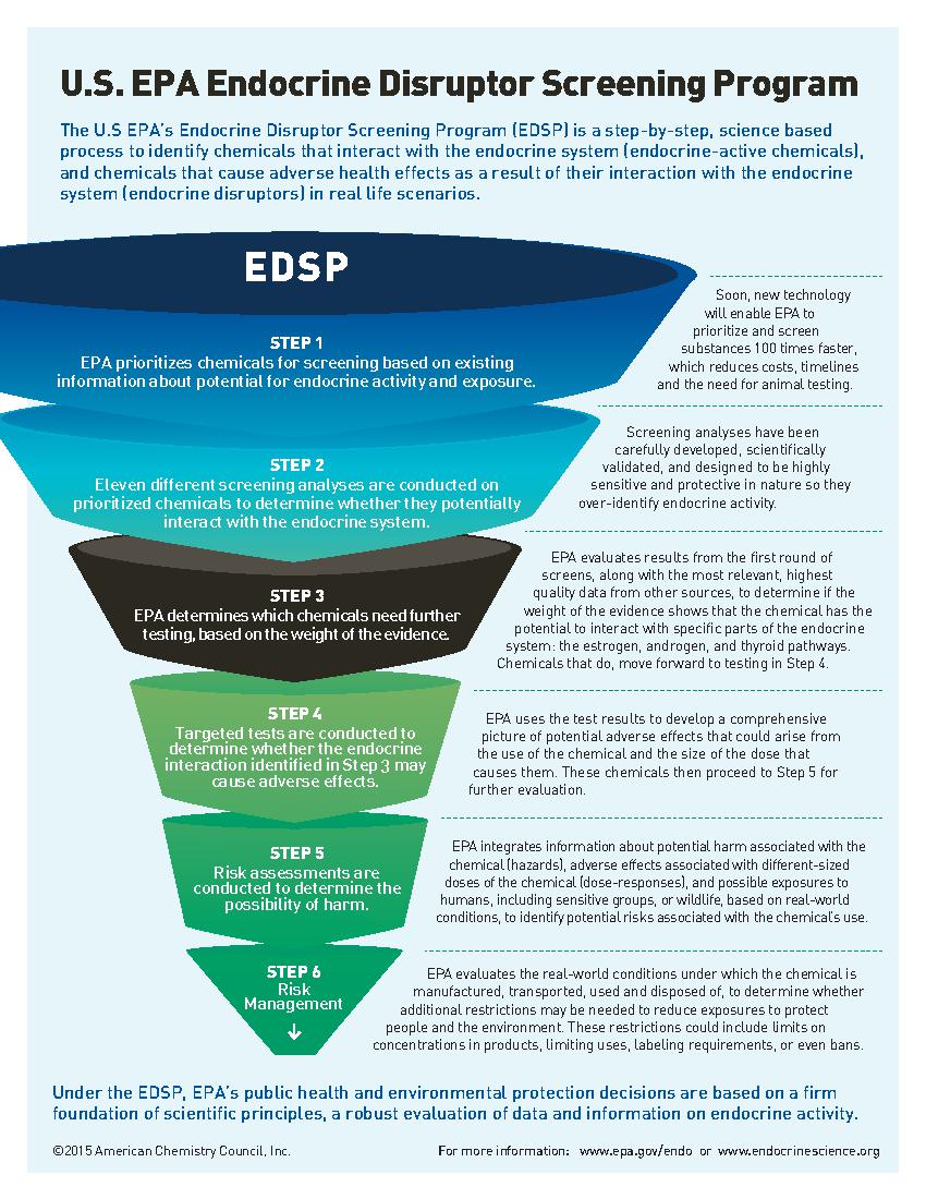 Endocrine Disruptor Screening Program Infographic